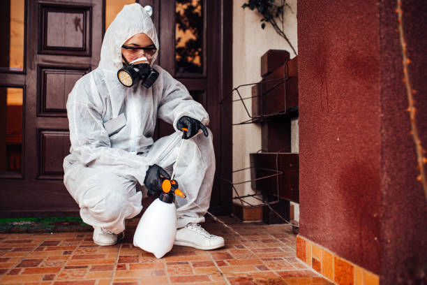 Reliable Wasp Removal contractor in Oakland, NJ by Show Me Pest Control