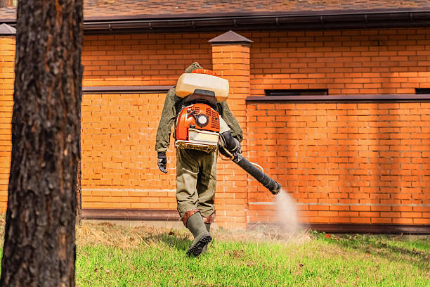 Top rated local Wasp Removal specialists in Oakland, NJ